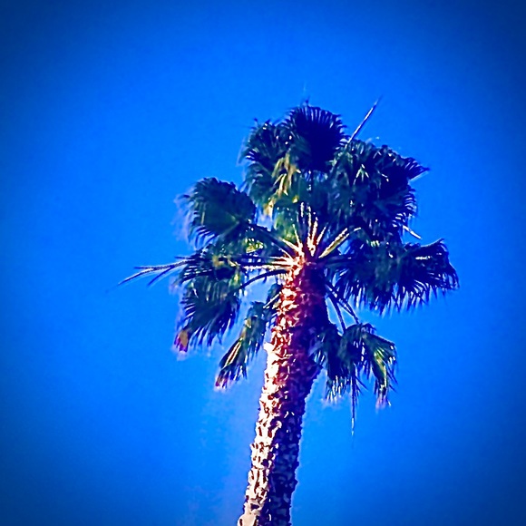 Meet your Posher, ROBERT OLD - Picture 5 of 8